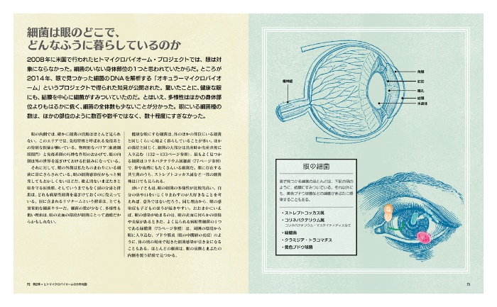 ビジュアル 細菌のはたらき パーフェクトガイド サンプル画像④