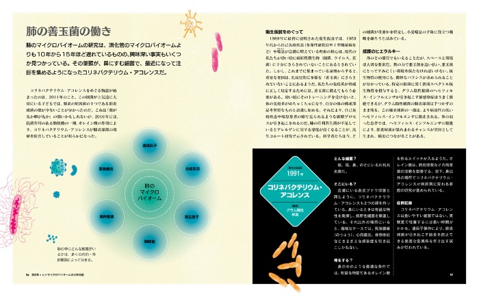 ビジュアル 細菌のはたらき パーフェクトガイド サンプル画像⑥