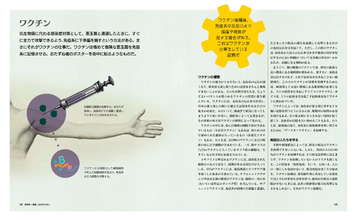 ビジュアル 細菌のはたらき パーフェクトガイド サンプル画像⑦