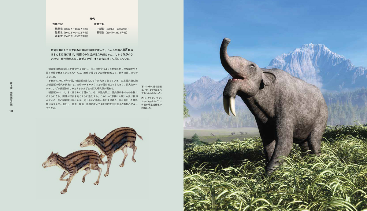 絶滅動物図鑑 地球から消えた生き物たち | 書籍 | ナショナル