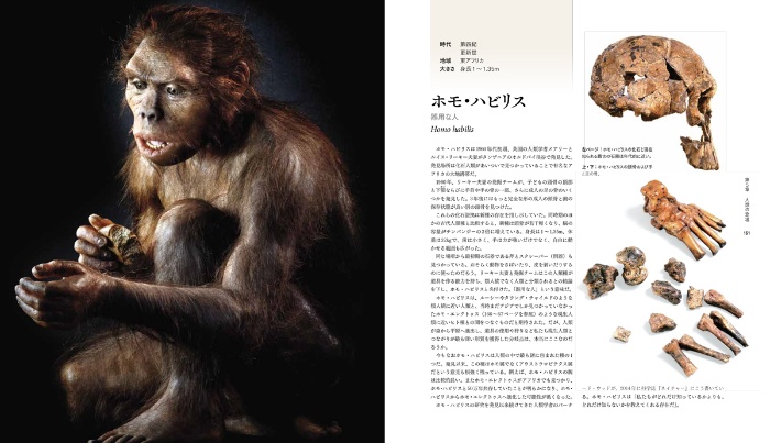 絶滅動物図鑑 地球から消えた生き物たち サンプル画像④ ホモ・ハビリス