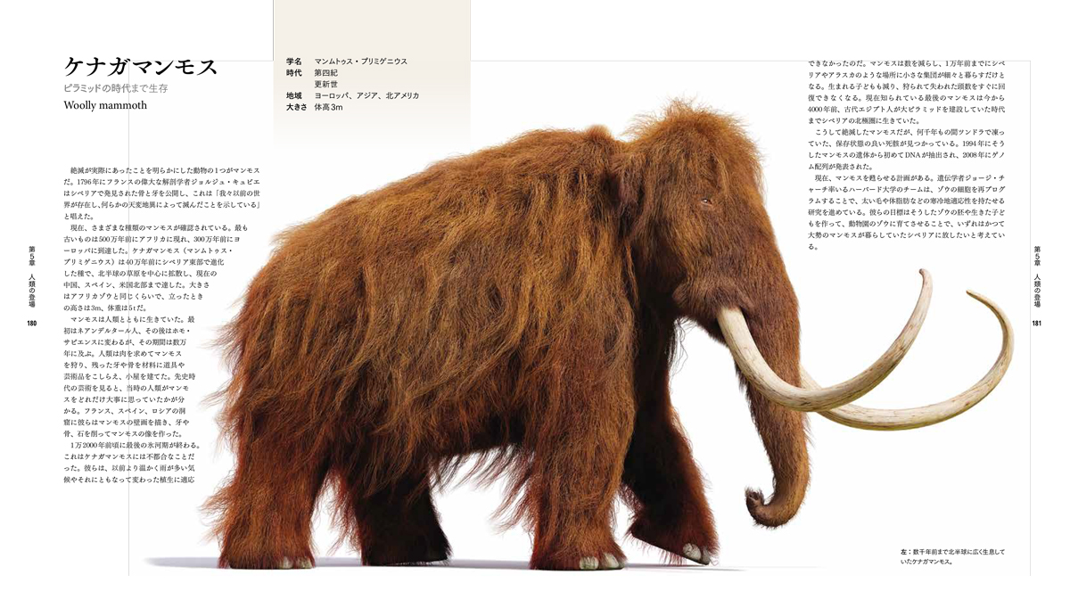 絶滅動物図鑑 地球から消えた生き物たち | 書籍 | ナショナル ジオ