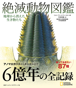 1億年前の共生かたる希少な化石 二枚貝に隠れたエビ3匹 | ナショナル