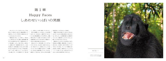 動物たちのしあわせの瞬間 増補版 サンプル画像①