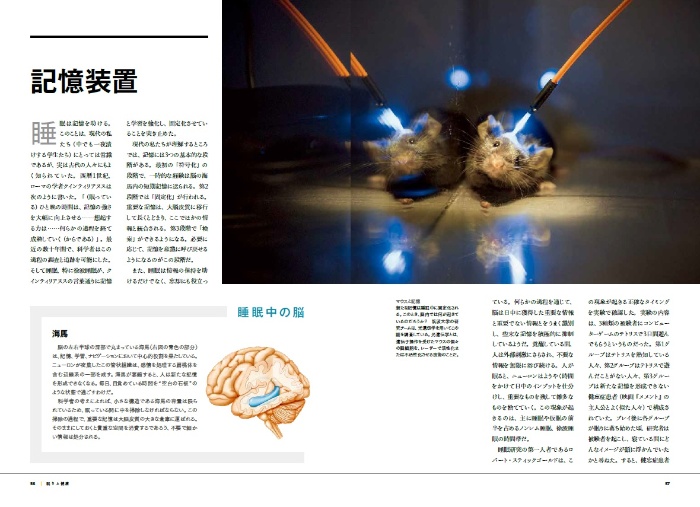 なぜ眠るのか 現代人のための最新睡眠学入門 サンプル画像④