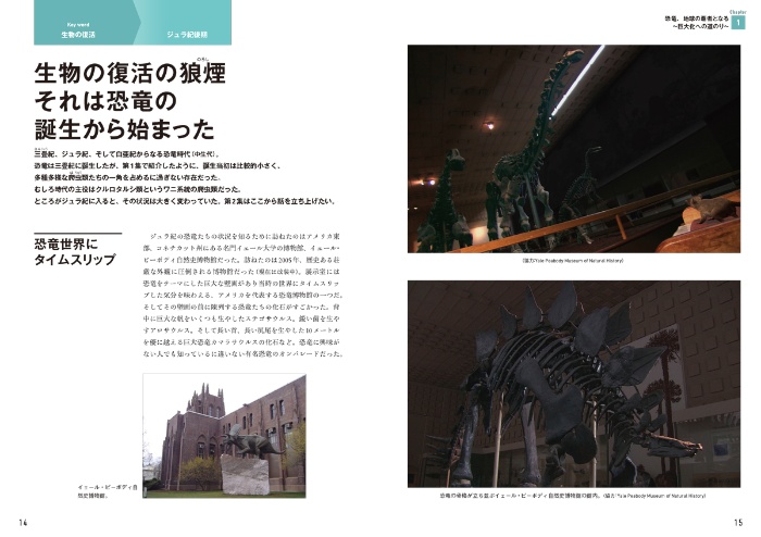 ダーウィンが来た! 生命大進化 第2集 現生動物への道が開かれた (中生代 ジュラ紀~新生代) サンプル画像①