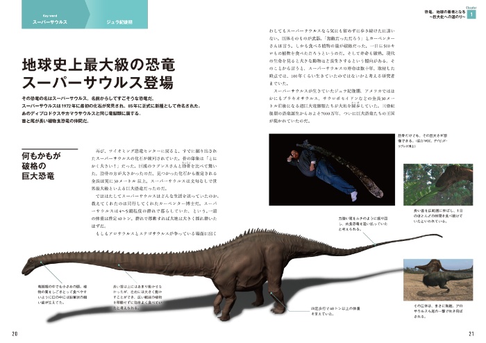 ダーウィンが来た! 生命大進化 第2集 現生動物への道が開かれた (中生代 ジュラ紀~新生代) サンプル画像②