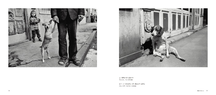 MAGNUM DOGS マグナムが撮った犬 サンプル画像①