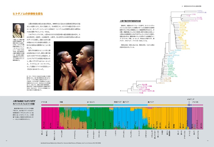 人類史マップ サンプル画像⑤