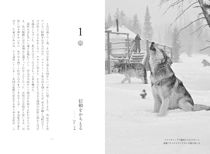 オオカミの知恵と愛 サンプル画像③ 信頼をかちとる