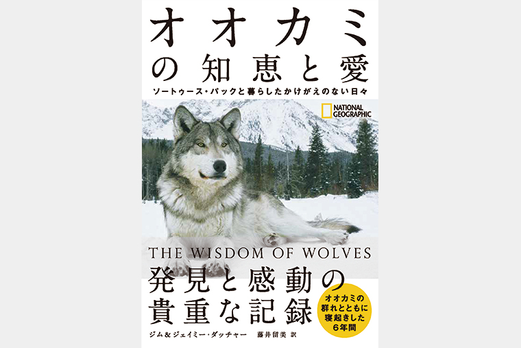 オオカミの知恵と愛 | 書籍 | ナショナル ジオグラフィック日本版サイト