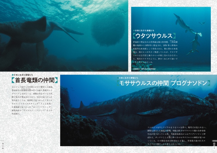 NHKスペシャル 恐竜超世界 IN JAPAN サンプル画像3