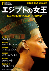 初版　性のペルソナ 古代エジプトから19世紀末までの芸術とデカダンス 上下巻 性のペルソナ : 古代エジプトから19世紀末までの芸術と