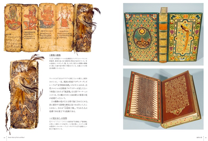 愛書狂の本棚 サンプル画像②