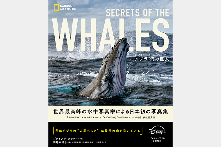 クジラ 海の巨人 | 書籍 | ナショナル ジオグラフィック日本版サイト