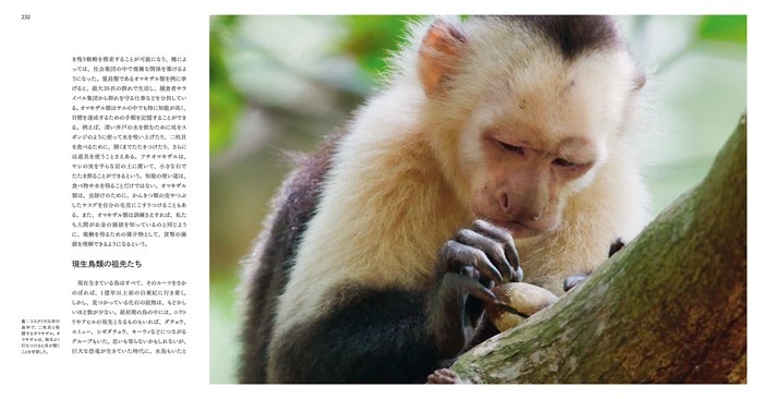 LIFE ON OUR PLANET 地球生命大全史 | 書籍 | ナショナル ジオグラフィック日本版サイト