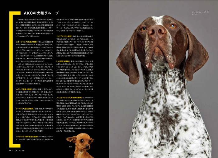 イヌ全史 君たちはなぜそんなに愛してくれるのか | 書籍 | ナショナル