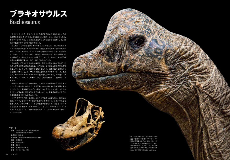 世界一美しい恐竜図鑑 | 書籍 | ナショナル ジオグラフィック日本版サイト
