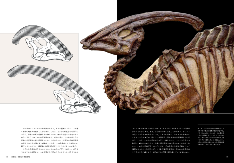 世界一美しい恐竜図鑑 | 書籍 | ナショナル ジオグラフィック日本版サイト