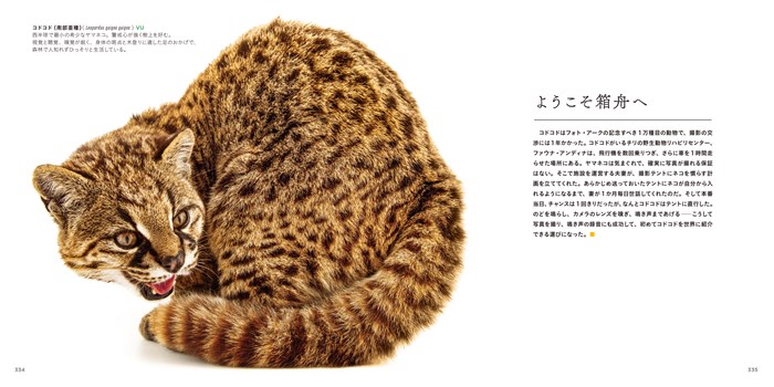 PHOTO ARK 生命の賛歌 | 書籍 | ナショナル ジオグラフィック日本版サイト