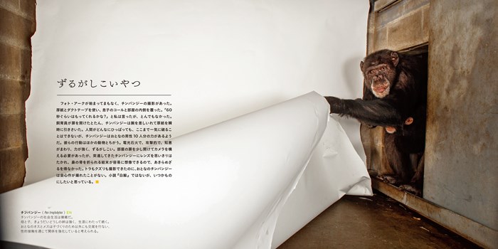 PHOTO ARK 生命の賛歌 | 書籍 | ナショナル ジオグラフィック日本版サイト