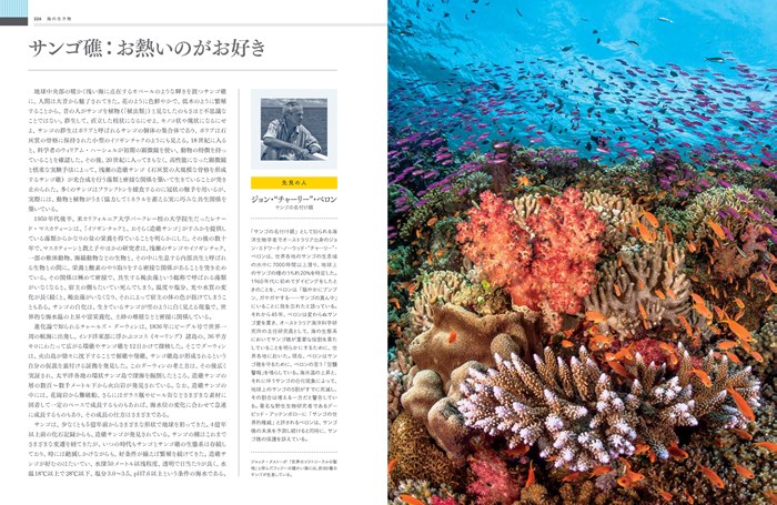 OCEAN ビジュアル海大図鑑 | 書籍 | ナショナル ジオ