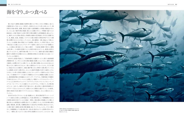 OCEAN ビジュアル海大図鑑 | 書籍 | ナショナル ジオ
