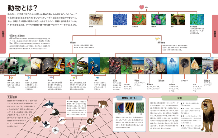 ☘【希少 2冊セット】海洋大図鑑 世界動物大図鑑 910cKKEbKpL._UF1000,1000_QL80_.jpg