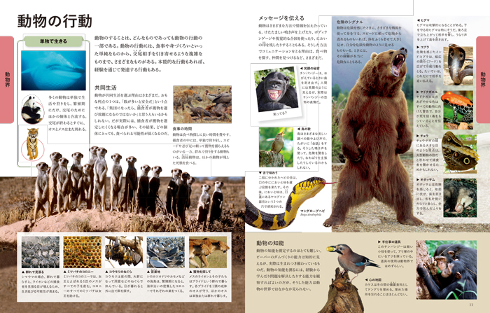 ビジュアル 世界の動物大図鑑 | 書籍 | ナショナル ジオ