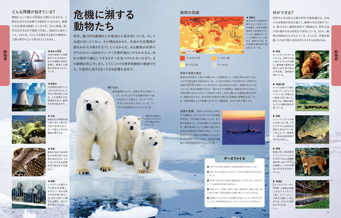 世界動物大図鑑 Amazon.co.jp: 世界動物大図鑑 世界鳥類大図鑑 海洋大図鑑 DK