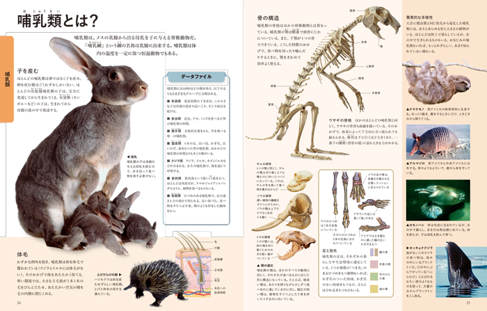 楽天ブックス: ビジュアル 世界の動物大図鑑 - DK