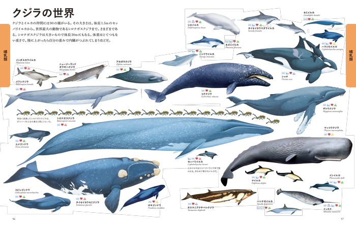世界動物大図鑑 ビジュアル 世界の動物大図鑑 | 書籍 | ナショナル ジオ