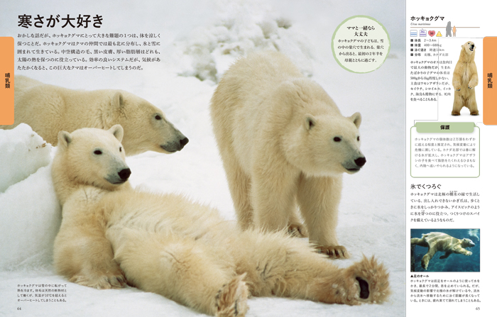 動物 図鑑9さつ ビジュアル 世界の動物大図鑑 | 書籍 | ナショナル ジオ
