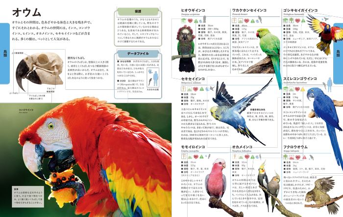 ビジュアル 世界の動物大図鑑 | 書籍 | ナショナル ジオ