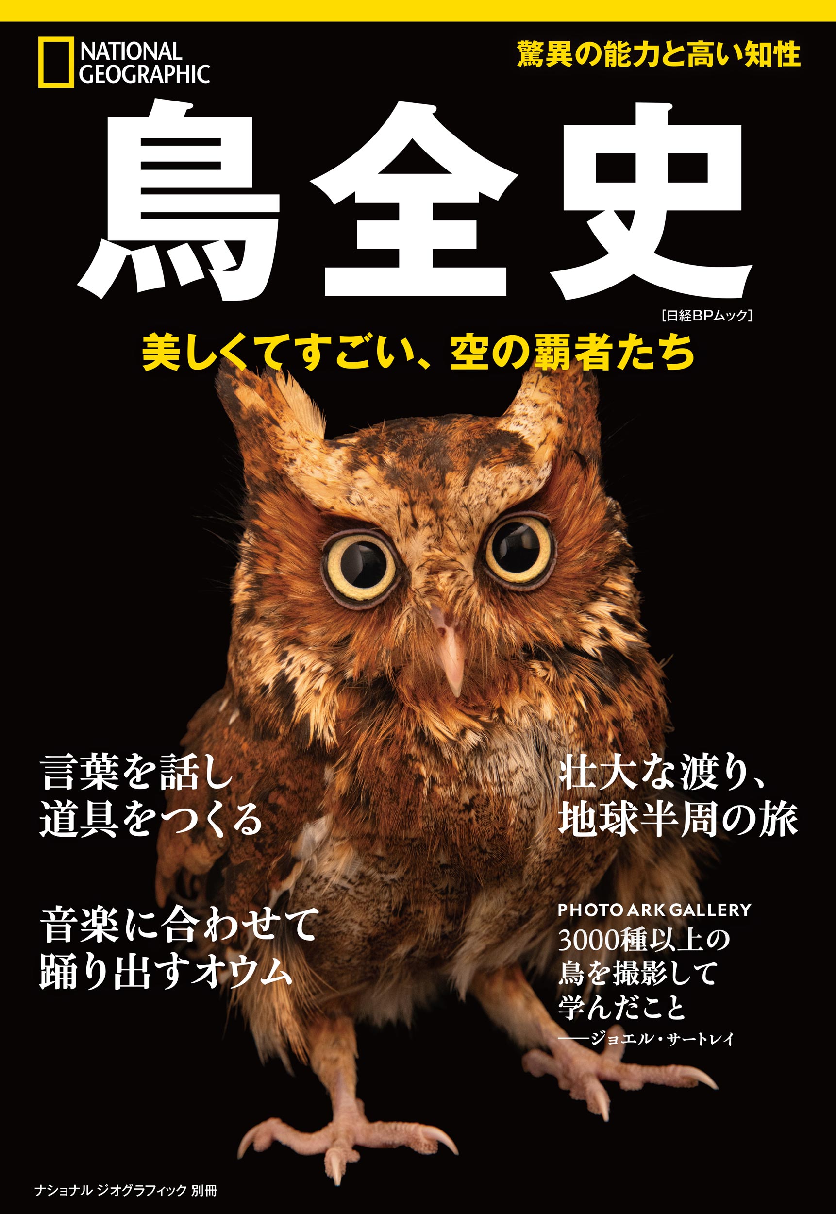 45冊 National Geographic ナショナルジオグラフィック 45冊 National Geographic ナショナルジオグラフィック