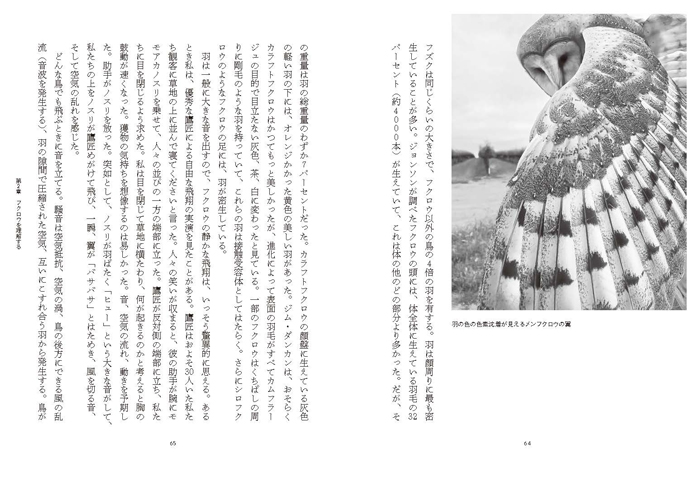 フクロウ 地球上で最も謎めいた鳥の科学 | 書籍 | ナショナル ジオ