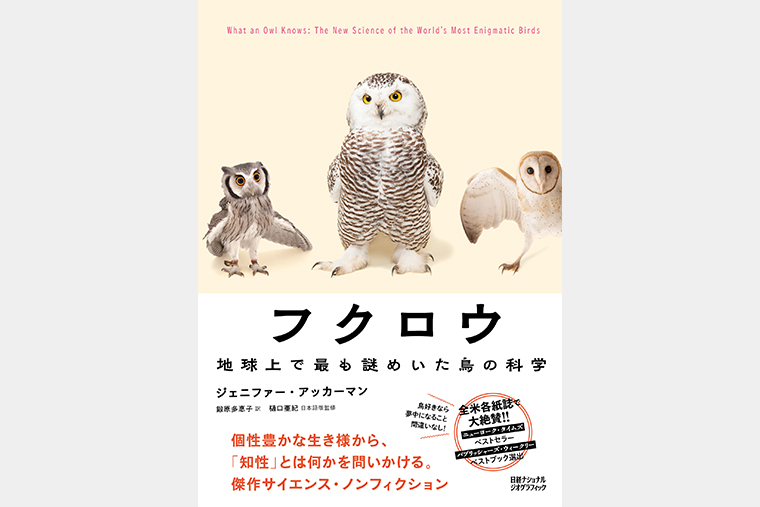 ナショナルジオグラフィックプレミアムセレクションDVD全80巻セット ナショジオ ナショナル ジオグラフィック〔DVD〕 アストンマーティン