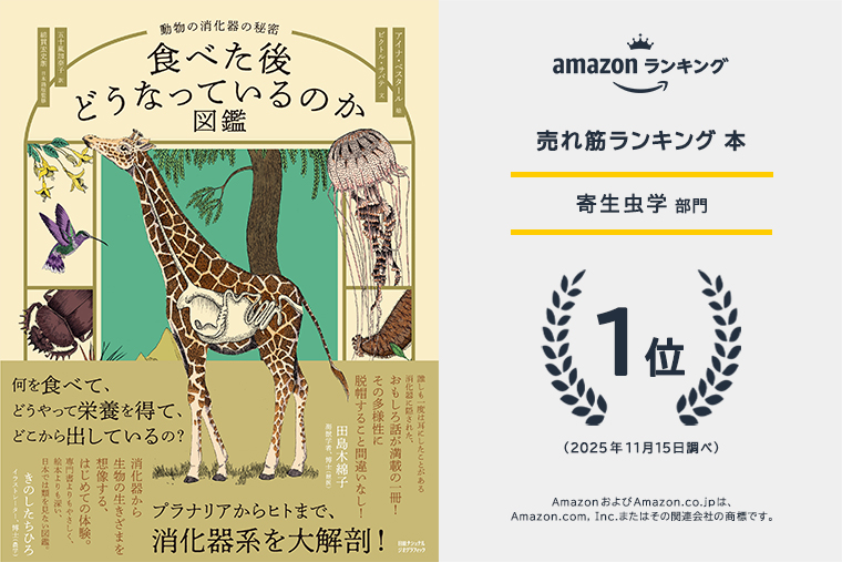 ナショナルジオグラフィック 2005-2007 Ninja ZX-6RR 2005