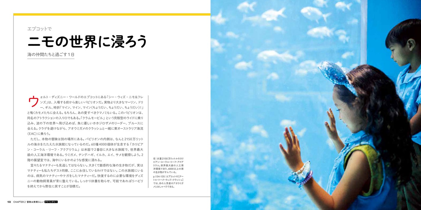 ディズニー 本 英語版　世界のディズニーパーク&リゾート ディズニークルーズ Amazon.co.jp: ディズニー・クルーズライン&ウォルト