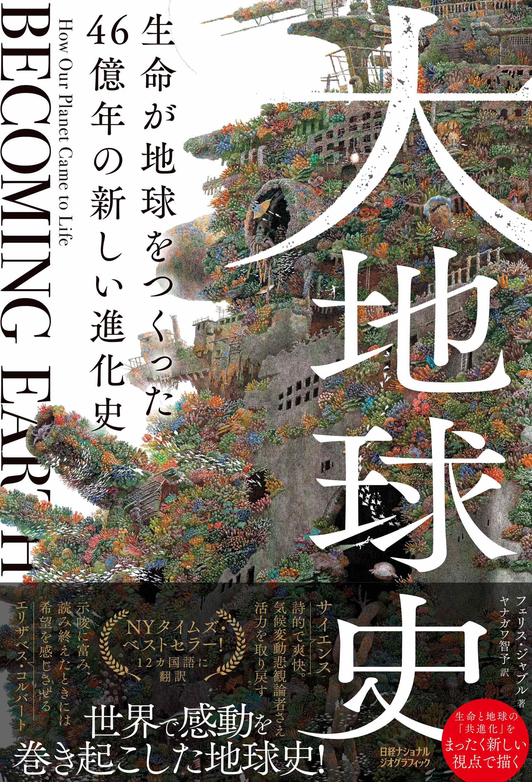 河江肖剰の最新ピラミッド入門 | 書籍 | ナショナル ジオグラフィック