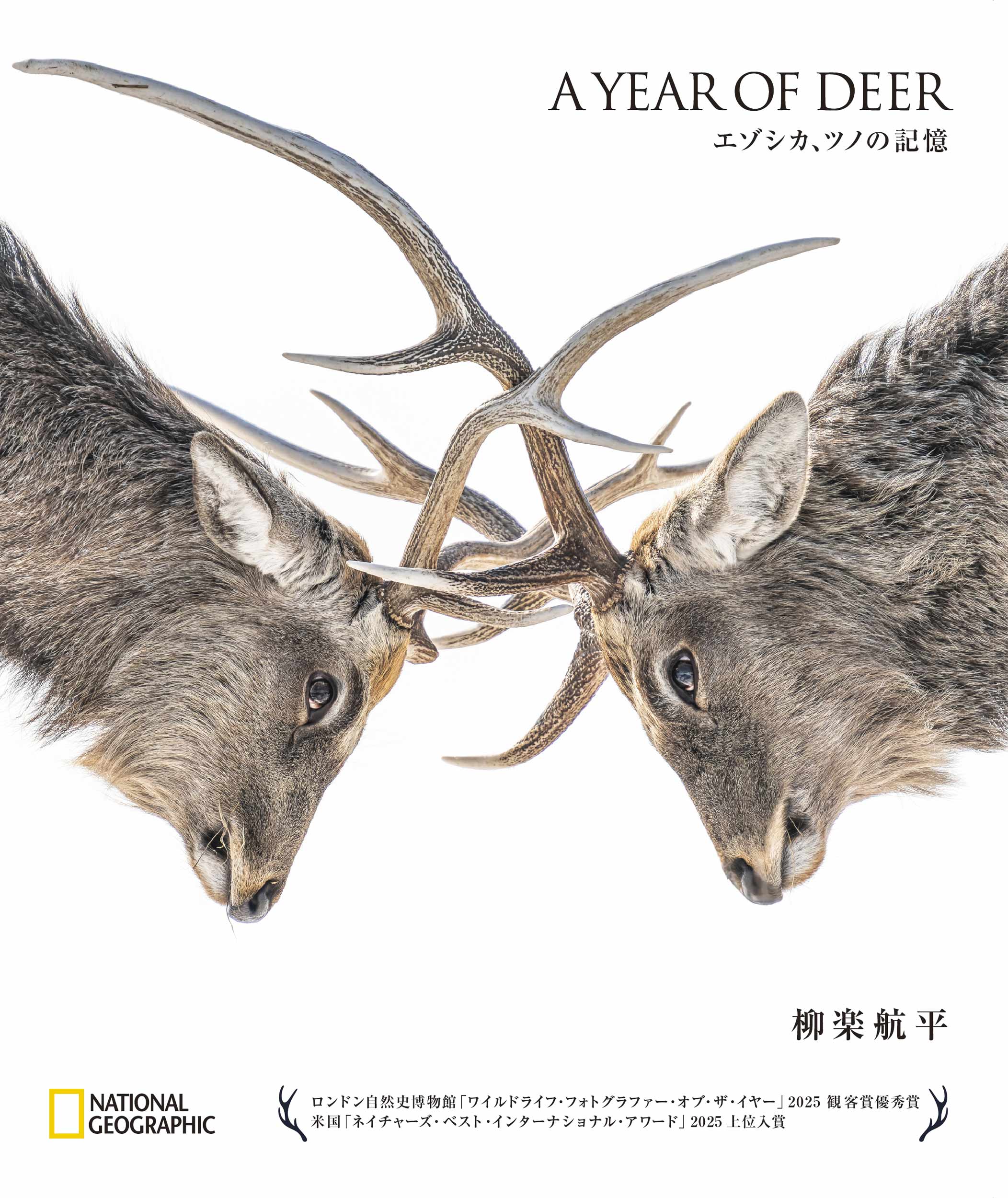 A YEAR OF DEER エゾシカ、ツノの記憶 | 書籍 | ナショナル ジオ
