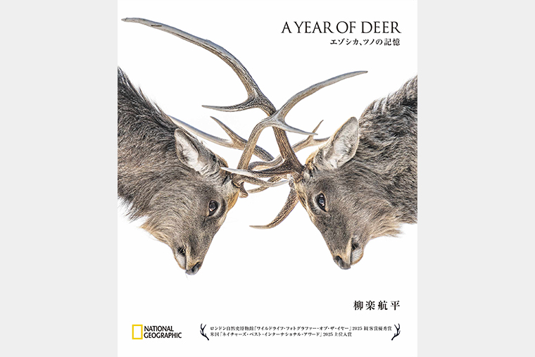 A YEAR OF DEER エゾシカ、ツノの記憶 | 書籍 | ナショナル ジオ