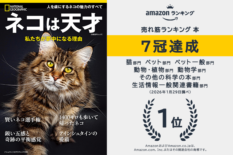 ネコは天才 私たちが夢中になる理由 | 書籍 | ナショナル ジオ