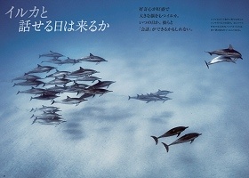 Photograph by Brian Skerry