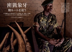Photograph by Brent Stirton