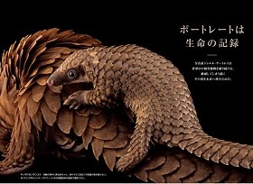 Photographs by Joel Sartore