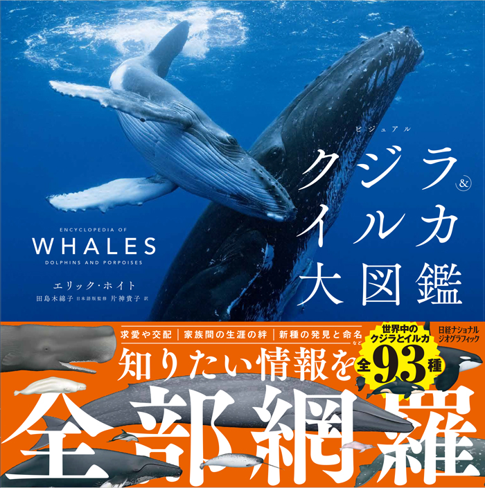 ビジュアル クジラ＆イルカ大図鑑 | ナショナル ジオグラフィック日本