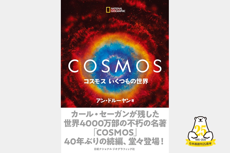 コスモスの崩壊―閉ざされた世界から無限の宇宙へ (人間の科学