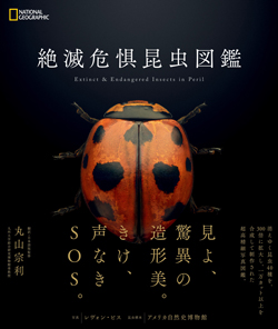 新刊のご案内】絶滅危惧昆虫図鑑 | ナショナル ジオグラフィック日本版