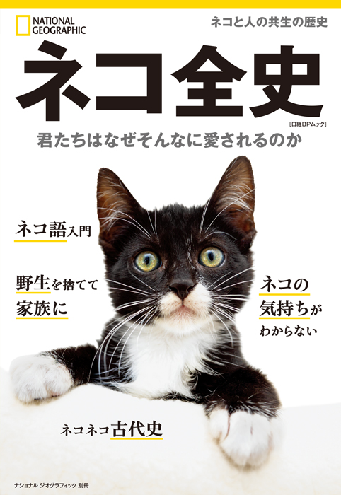 ネコの博物図鑑 ネコの博物図鑑 | 猫本専門書店 書肆 吾輩堂